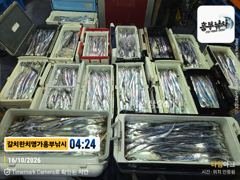 16일입항 만쿨부터 3지4지급 예약가능