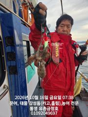 [통영] 통영 금정호 아침부터 키로급문어가 신나게 올라옵니다 내일 오후 …