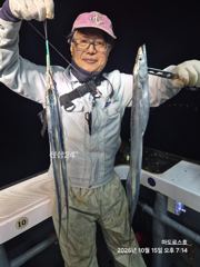 갈치퍼담기 철수조황 입니다 !