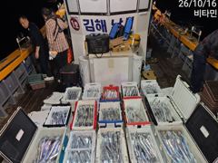 왕갈치 씨알 마릿수 대성공 오늘3자리~토,일 쭈꾸미 출동