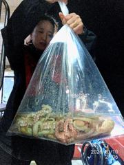 문어사냥 레전드호타고 대박조황고고!