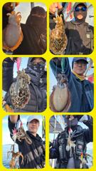 [무창포 플러스호] 10월 16일 쭈꾸미 100마리 이상, 갑오징어 65마리 정프로님의 꾸준한 실력~ / 예약문의 010-3304-7556