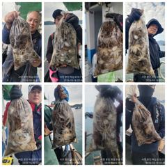 쭈꾸미 황금 물때!장원 252수외!