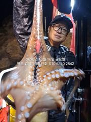 16일 홈런호 주간문어 대박조황 마무리 합니다