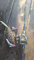 16일 먼바다 갑 양과 사이즈 둘다 만족하고 왔어요. 22일 갑 모집합니다.