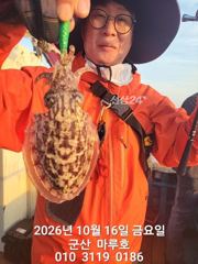 》 10/16 마루호 갑오징어 조항 ~☆ 《
