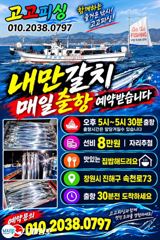 [진해] 내만갈치 씨알장난아닙니다!!! ~일요일예약가능