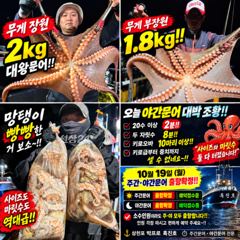 삼천포 문어낚시 올해 야간문어 최고 조황! 2kg 대왕문어·20수 이상 2명·키로오바 10마리 이상 삼천포 박프로 흑진호