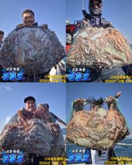 <고흥녹동> 청룡호 17일 돌문어 대박조황 소식!!! 사진