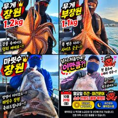 삼천포문어낚시｜강풍에도 전원 히트! 1.2kg 장원에 망탱이 빵빵! 삼천포박프로 흑진호