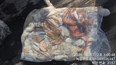 10월17일 문어조황