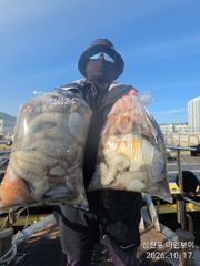 삼천포 마린보이 10. 17. 덩치 싸이즈 주간문어 풍성하게 뜯고 왔습니다.