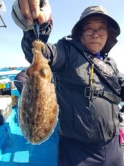 10월 17일 남덕5호 갑오징어 조황