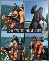 [피닉스피싱호] 10월 17일(토) 체험낚시 조황