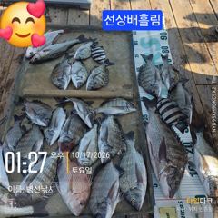 [고성] 병산 감성돔46외 마리수선상배 &선외기 흘림조황~~