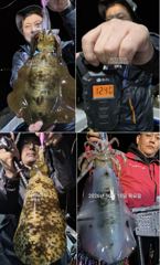 팁런무늬!!사이즈 굿!!내일 일 정상출항 예약가능