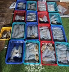 팁런무늬오징어 사이즈좋습니다 내일예약가능합니다
