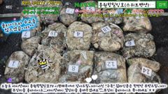 10월17일 홍원항힐링호 Very Good~ 쭈갑 조황~!물좀 안정되니 여지없네요^^장원9.1kg오바~ 2등7.6kg 전원 많이들 잡으셨네요ㅎㅎ 왕갑이와 심해왕갑이까지 ㅋㅋ