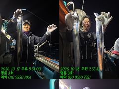 (14석통영명륜3호)우와~왕갈치 3지이상 쿨러만땅 밤새도록 입질 폭발 왕창잡았습니다(계속예약가능)