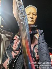 은빛 대 갈치 3지 4지 5지까지 월부터 가능