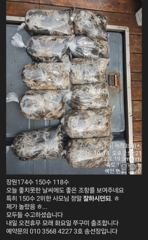 금일 174수한 쭈구미 조항입니다