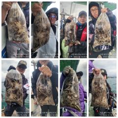 쭈꾸미 황금 물때! 장원 171수외 전원 마릿수!