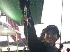 [사천] 쭈꾸미 밭입니다