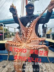 대물돌문어 3.12KG외 망태기 대박조황 입니다. 싸이즈도 좋고 마릿수도 좋습니다 돌문어 내일8자리여유 있습니다. 잘 나올때 망태기 가득가득 채...