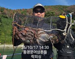 국치마을(문어) 일타일피~담구면 덤빕니다 대박~락피싱(20일 예약)