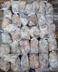 [군산] 10월19일 대박 조황.... 군산 홈런호 주간 문어 마무리 조…