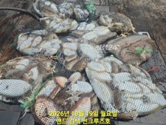 19일 군산 썬크루즈호 12분과 함께 갑오징어 조황입니다