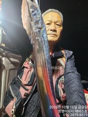 은빛 대갈치 낼만 가능 수 목 기상 불량