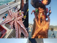 [진해] 문어,2000,1300외키로,중치들,우루루,,(목,가능)