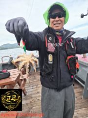 10월19일고고호 쭈꾸미조황