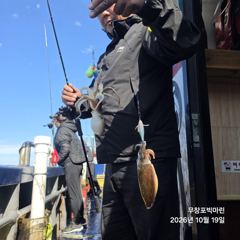 쭈꾸미~♪ 10.19( 월요일 ) [[[ 무창포프로낚시 ]]] <<<<< 빅 마 린 >>>>> 쭈 꾸 미 조황보고....