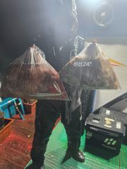고흥 은비호 10월 19일 야간 문어 낚시 조황