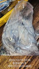20 일 입항보고 드립니당 칼치~~