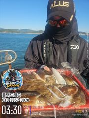 내일부터 다시 달려봅니다! 씨알 좋은 찰박이 갑오징어 출조!