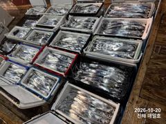 [20일,준내만갈치]4지5지,4지5지~!! 대물파티!! 쿨러도장까지~!! 많이잡고!! 오늘예약가능합니다^ㅡ^ 자리여유많습니다~