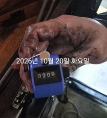 팁런무늬조황!!오늘도 달립니다!!예약가능