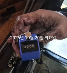 [진해] 팁런무늬!!오늘도 달립니다!!예약가능