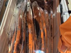 [통영] 통영영운호14석) 먼바다 대갈치 3지 이상 4지5지 쿨러가득 씨…