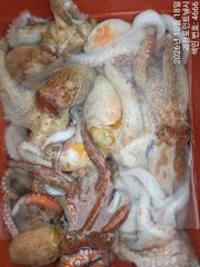 [진해] ~~*돌문어 굵직한 손맛,씨알 굿 마리수 굿굿 좋아요~~(낼예약…