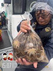 비가 와도 잡았습니다! 삼천포 쭈꾸미 조황