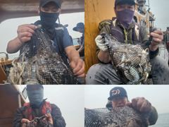 ⭐군산제일피싱호 20일날 17분 전체대박조황입니다⭐