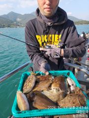 [사천] 내일 갑오징어 14분예약중 출조확정 목요일 금요일 자리여유 많습…