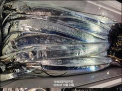 [20일입항] "내만갈치" 3지급덩치들이 퍽퍽퍽!! 씨알+마릿수 대박이예요~ [수요일부터 예약가능] 010-7660-2435
