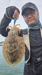 10월 20일 대양호 조황정보