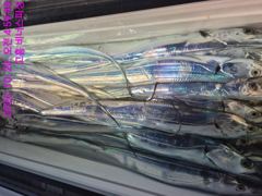 6~7지도다수인 큰씨알로 잡있습니다