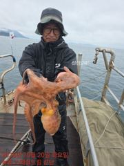 스페셜드림선단 10월20일 문어 조황입니다